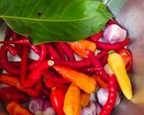Foto langkah ke 2 dari resep Terong Balado.
