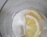 Cara Membuat Pineapple Lemon Soda 2