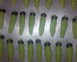 Foto langkah ke 5 dari resep Caterpillar cookies.