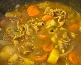 Foto langkah ke 5 dari resep Beef Curry.