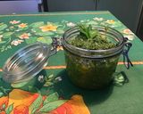 Une image de l'étape 8 de Pesto de céleri branche à l ail,pistaches et parmesan.
