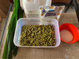 6. Jus Kacang Hijau Less Sugar