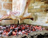 Foto del paso 1 de la receta: Cabrito al pastor