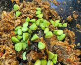 Foto langkah ke 3 dari resep Cakalang asap balado pete.