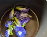 A picture of step 1 of Butterfly peas Tea.