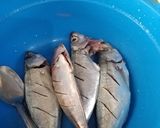 Foto langkah ke 1 dari resep Ikan (Oci) Bakar Dabu-dabu Manado praktis.