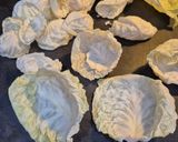 A picture of step 4 of Mushroom Cabbage Dumplings.