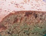Foto del paso 4 de la receta: Pan de espelta