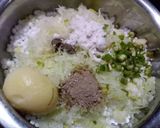 A picture of step 2 of Sabudana (sago) papaya balls.