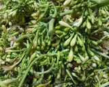 Foto langkah ke 2 dari resep Tumis Bunga Pepaya Teri (tips agar tdk pait).