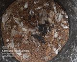 A picture of step 2 of Pepper rasam.