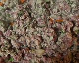 Foto del paso 1 de la receta: Relleno de carne multipropósito para tener en el frezzer (empanadas, pastel de papas, lasagna)