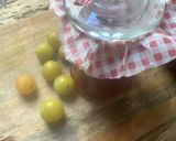 Une image de l'étape 9 de 🧉Confiture de mirabelles cannelle miel 🍯 de lavande🥄🍈.
