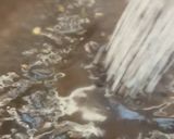 Foto del paso 7 de la receta: Arroz Negro Fácil
