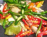Foto langkah ke 2 dari resep Cumi Asin Cabe Hijau.