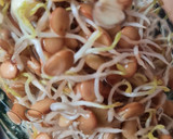 Foto del paso 7 de la receta: Brotes de lentejas al limón 🌱🍋 Germinado de lentejas alimonadas 🌱 🍋