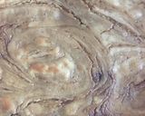 Foto del paso 6 de la receta Keto cinnamon roll Cheesecake