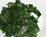 Foto langkah ke 2 dari resep #62 Tumis Daun Mengkudu Tongkol Suir.