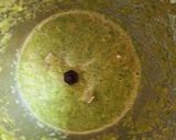 A picture of step 3 of Green Tomato Chutney.