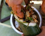 A picture of step 3 of পুঠি মাছ চুঙাত দিয়া /Swam barb fish cooked in Bamboo tubes.