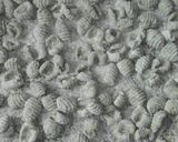 Foto del paso 4 de la receta: Ñoquis de acelga
