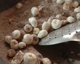 A picture of step 2 of Rosted makhana.