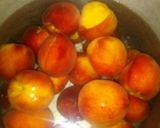 صورة لخطوة 2 من وصفة عصير الخوخ ولا أروووووع