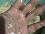 Sempol Daging Ayam Crispy