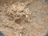 Kareh Daging Tuha Banjar