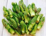 A picture of step 6 of Spring Delicacy: Preparing and Frying Fiddlehead Ferns.