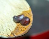 Foto del paso 3 de la receta: Chili con carne