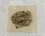 A picture of step 5 of Cabbage Pork Potstickers.