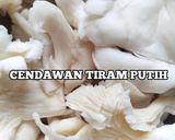 Gambar langkah 1 resipi Cendawan Tiram Masak Rebus Simple.