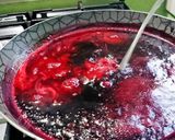 Foto del paso 7 de la receta: Panna cotta de coco con coulis de jamaica con mezcal