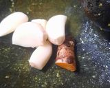 Foto langkah ke 2 dari resep Hati Dan Paru Asam Manis.