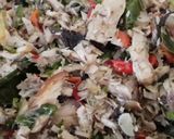Foto langkah ke 10 dari resep Tuna Suwir Bumbu Kecombrang.