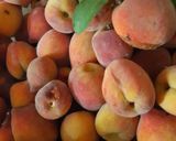 Foto del paso 1 de la receta: Mermelada de duraznos🍑