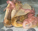 Foto del paso 11 de la receta: Taco de costilla de vaca adobada con miel y vermut de Reus