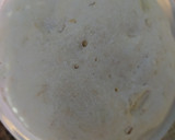Foto del paso 4 de la receta: Ciabatta