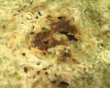 A picture of step 8 of Neer Dosa: Popular Mangalorean Udupi Tindi/Tiffin Dish- 2 Types.