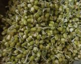A picture of step 1 of Sprouts.
