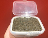 Foto del paso 2 de la receta: Paté de aceitunas