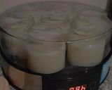 Foto del paso 2 de la receta: Yogur casero de vainilla
