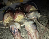 Foto del paso 1 de la receta: Chipirones en salsa verde