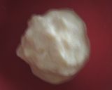 Foto del paso 3 de la receta: Panecillos de queso