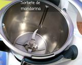 Foto del paso 2 de la receta Sorbete de Mandarina sin Azúcar de Paufeel