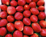 A picture of step 2 of Blueberry strawberry salad.