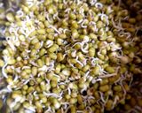 A picture of step 2 of Mung bean Sprouts idli.