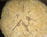 Foto del paso 4 de la receta: Pan vegano de avena, jengibre pomelo fresco 😎😍(dulce)