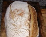 Foto del paso 3 de la receta: Otro pan De Masa Madre !! Vos que esperas para hacerlo ?